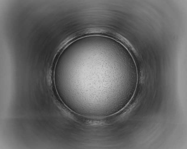 X0000112910786200908311236