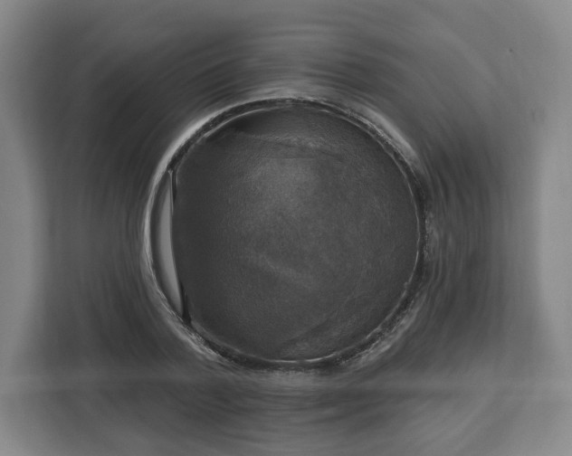 X0000112910788200908311236