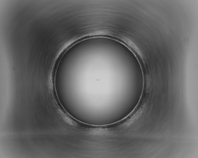 X0000112910789200908311236