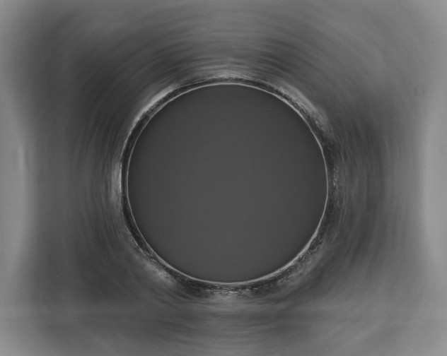 X0000112910790200908311236