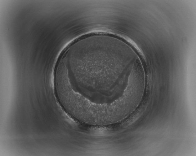 X0000112910791200908311236