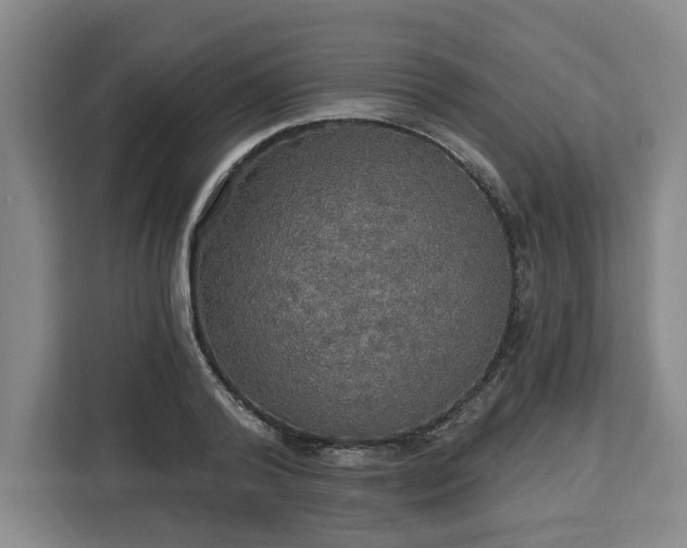 X0000112910792200908311236