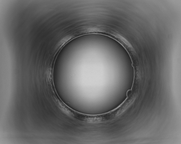 X0000112910793200908311236