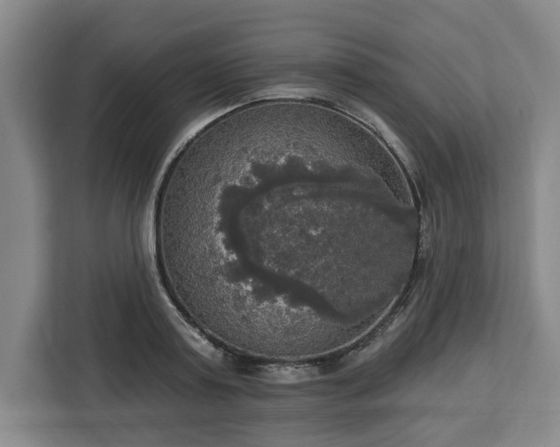 X0000112910795200908311236