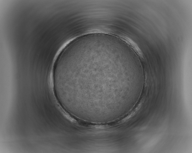 X0000112910796200908311236