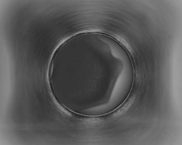 X0000112910797200908311236