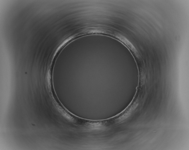 X0000112910798200908311236