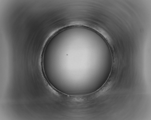 X0000112910799200908311236