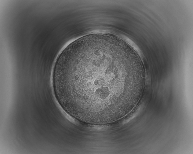 X0000112910803200908311236