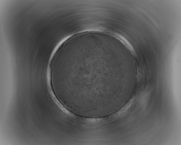 X0000112910804200908311236