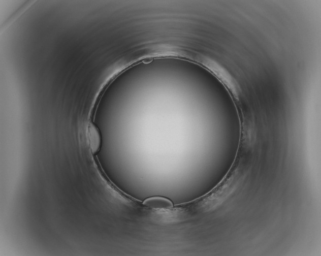 X0000112910805200908311236