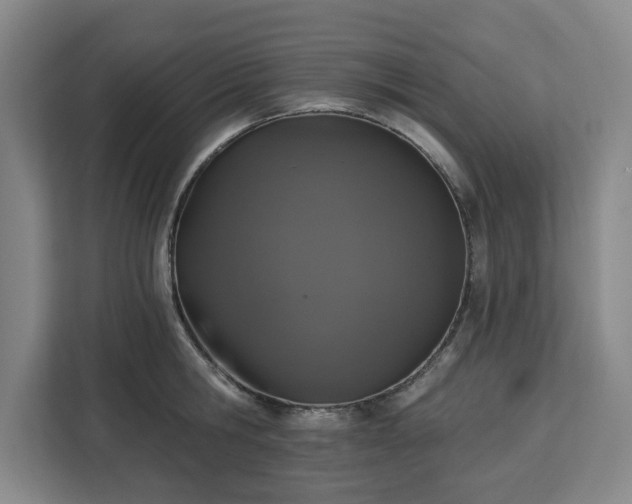 X0000112910806200908311236