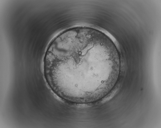 X0000112910807200908311236