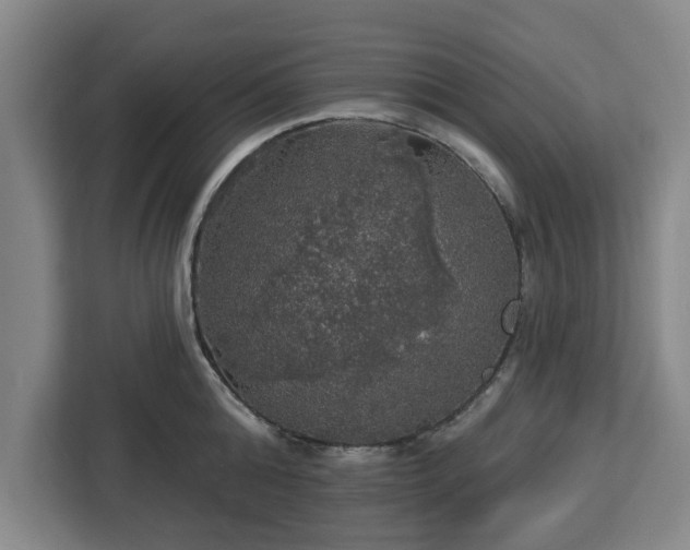 X0000112910808200908311236