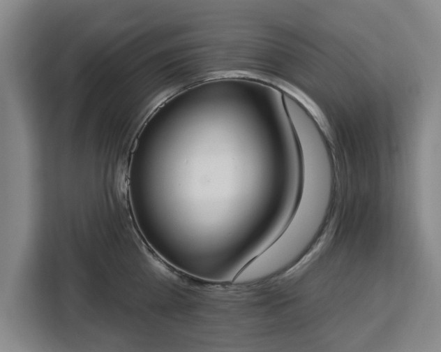 X0000112910809200908311236