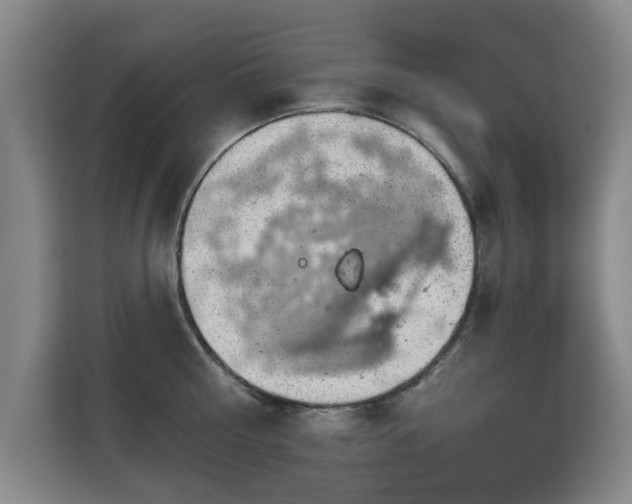 X0000112910810200908311236