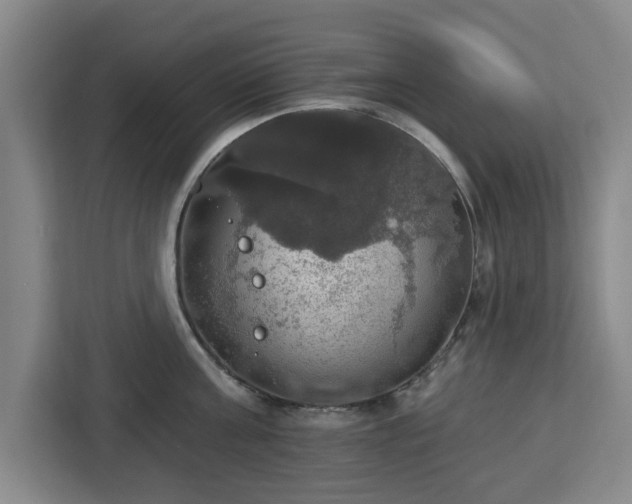 X0000112910811200908311236