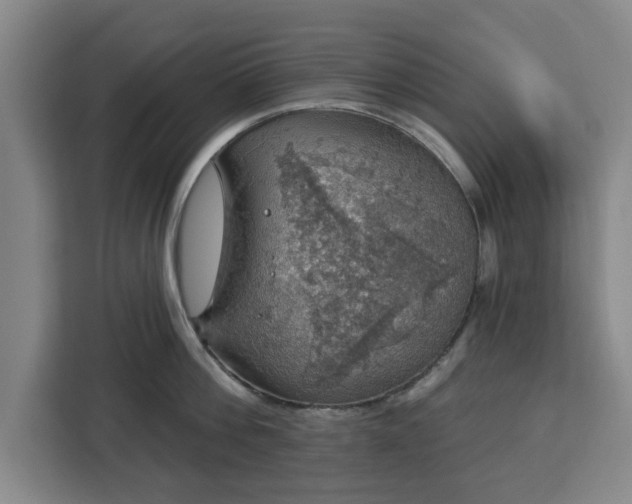 X0000112910812200908311236