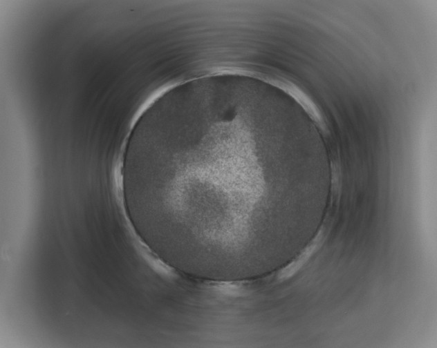 X0000112910814200908311236