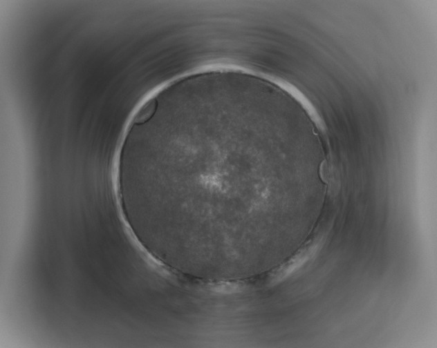 X0000112910815200908311236