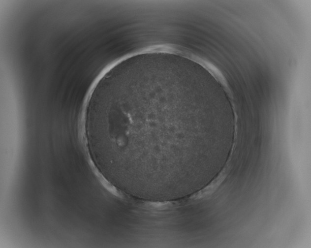 X0000112910816200908311236