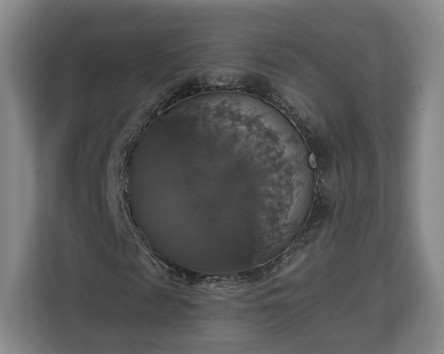 X0000112910817200908311235