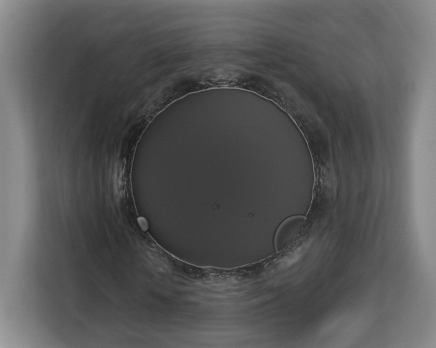 X0000112910818200908311235