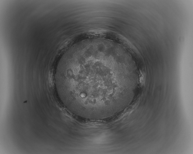 X0000112910819200908311235