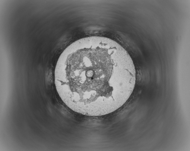 X0000112910820200908311235