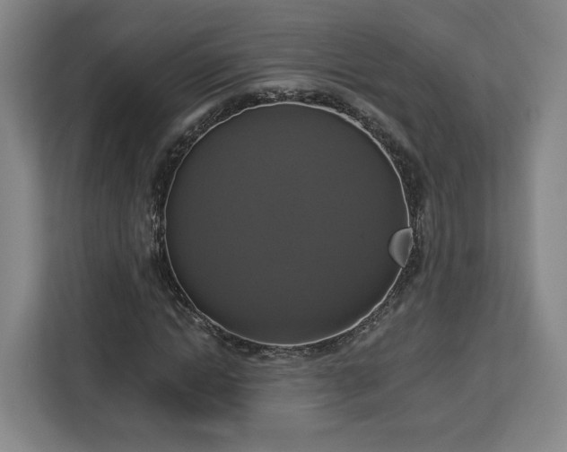 X0000112910822200908311235