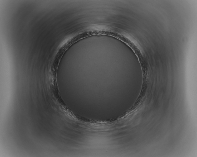 X0000112910823200908311235