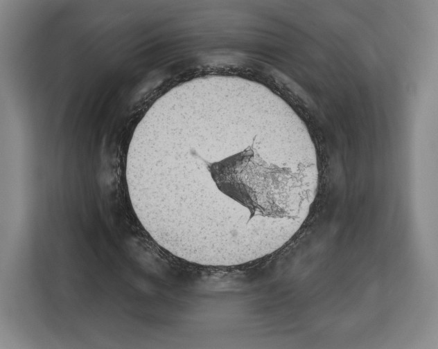 X0000112910824200908311235