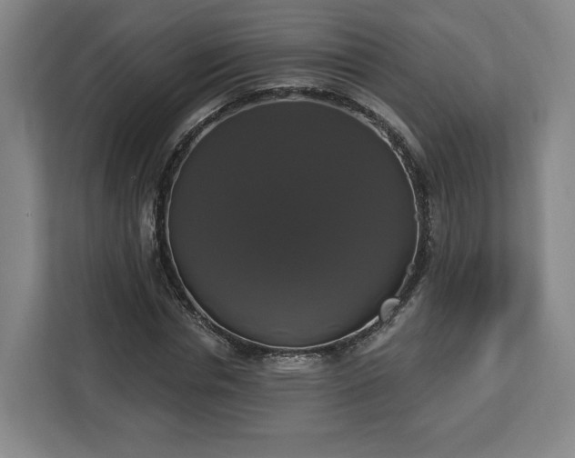 X0000112910826200908311235