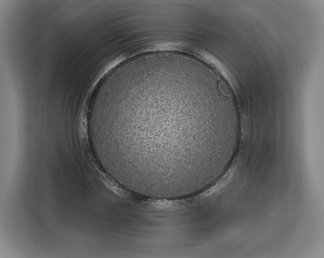 X0000112910827200908311235