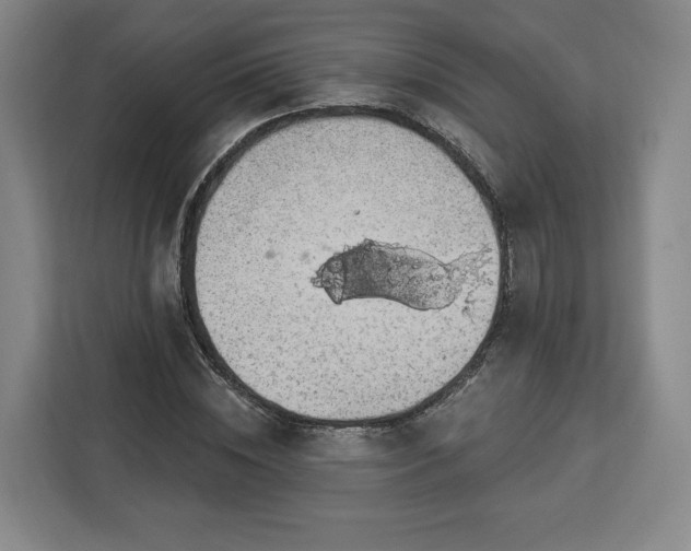 X0000112910828200908311235