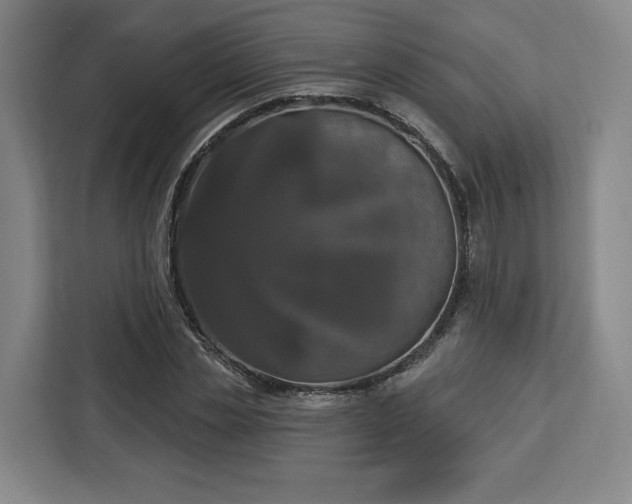 X0000112910829200908311235