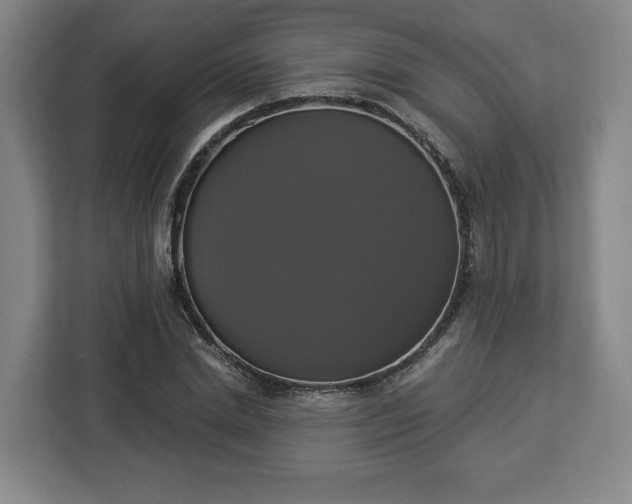 X0000112910830200908311235