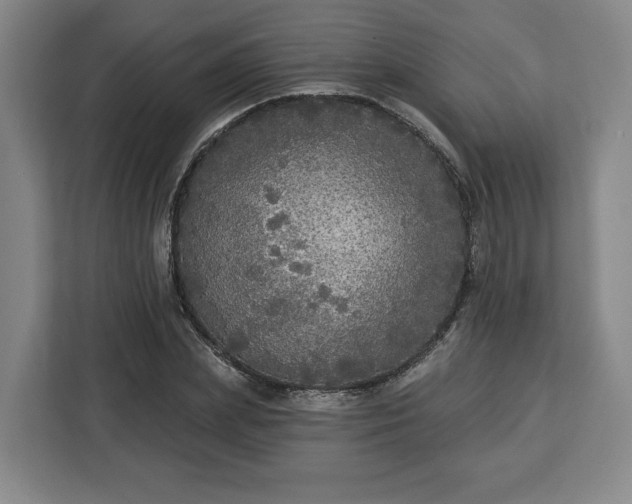 X0000112910831200908311235