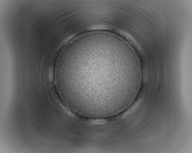 X0000112910833200908311235