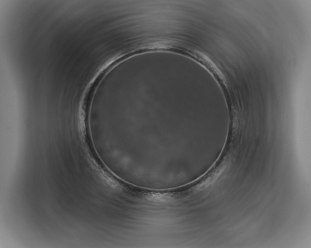 X0000112910835200908311235