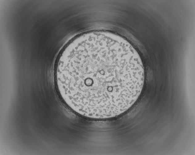 X0000112910836200908311235