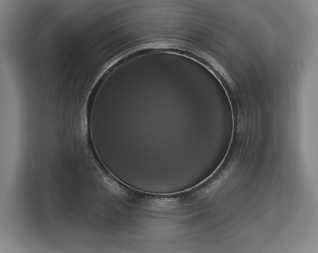 X0000112910837200908311235