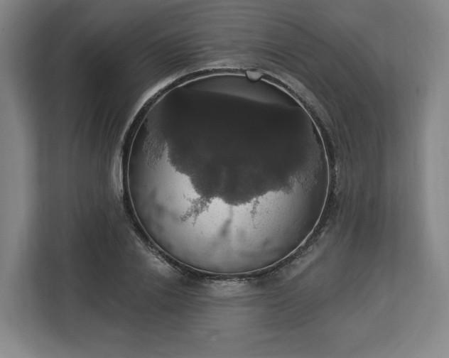 X0000112910838200908311235