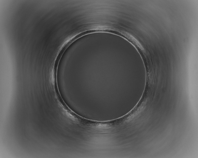 X0000112910839200908311235