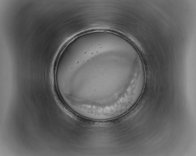 X0000112910840200908311235