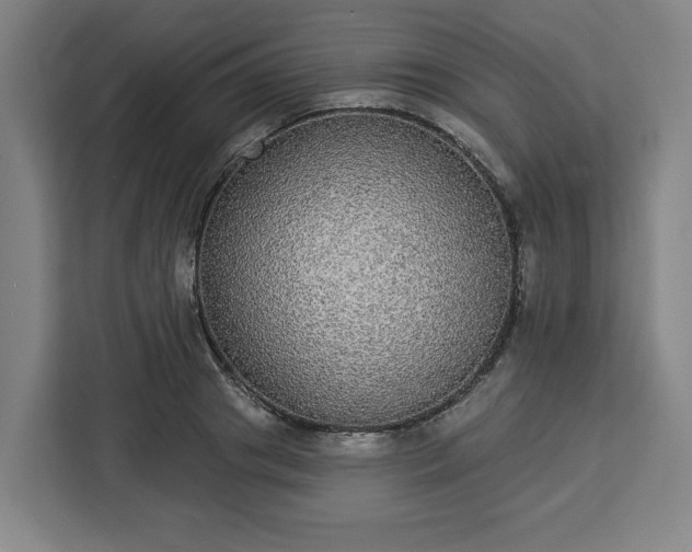 X0000112910841200908311235