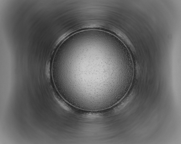 X0000112910842200908311235