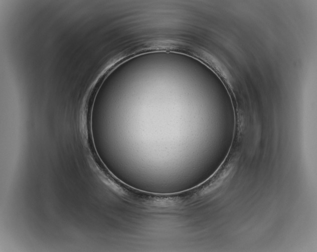 X0000112910843200908311235