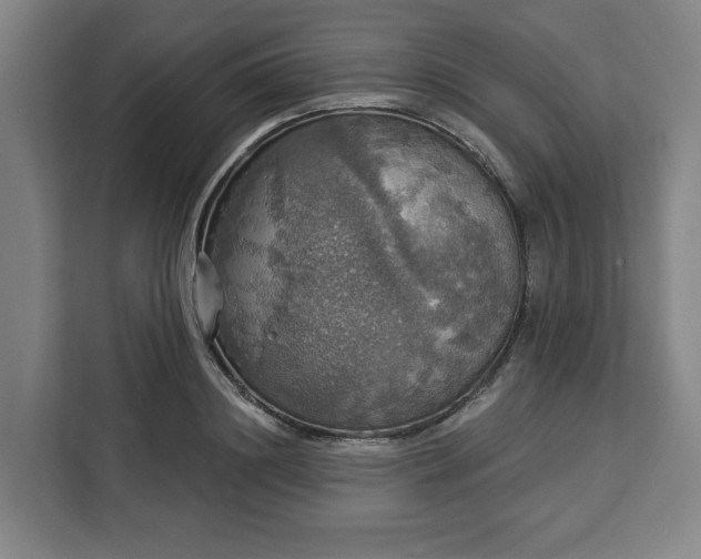 X0000112910844200908311235