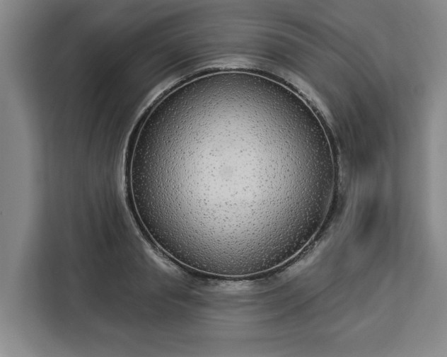 X0000112910845200908311235